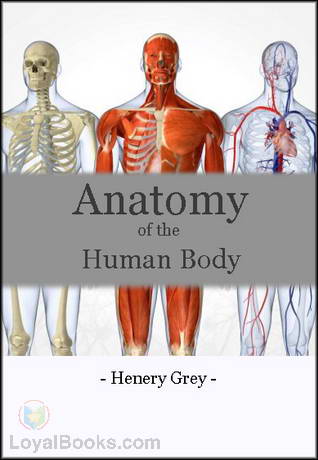 Anatomy of the Human Body by Henry Gray