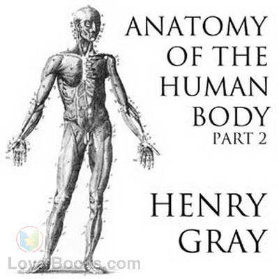 Anatomy of the Human Body, Part 2 by Henry Gray