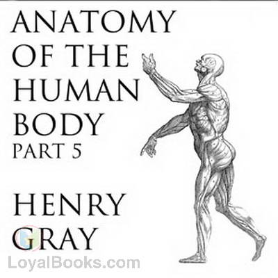 Anatomy of the Human Body, Part 5 by Henry Gray