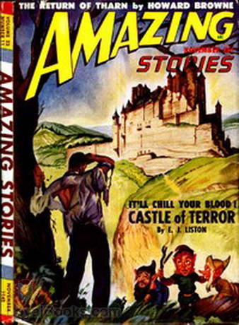 Castle of Terror by E.J. Liston