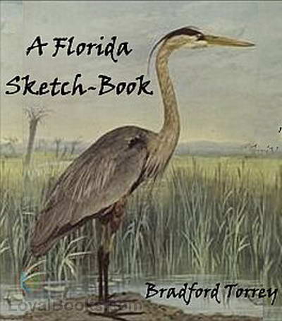 A Florida Sketch-Book by Bradford Torrey