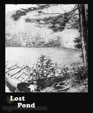 Lost Pond by Henry Abbott