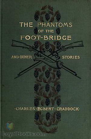 The Phantoms of the Foot-Bridge and Other Stories by Mary Noailles Murfree