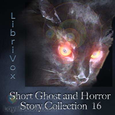 Short Ghost and Horror Story Collection Vol. 016 by Various