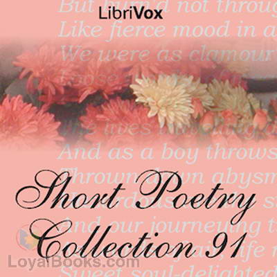 Short Poetry Collection 91 by Various
