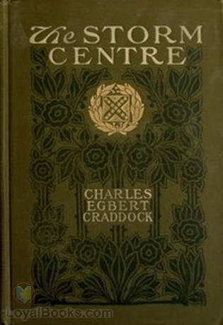 The Storm Centre by Mary Noailles Murfree