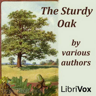 The Sturdy Oak by Various