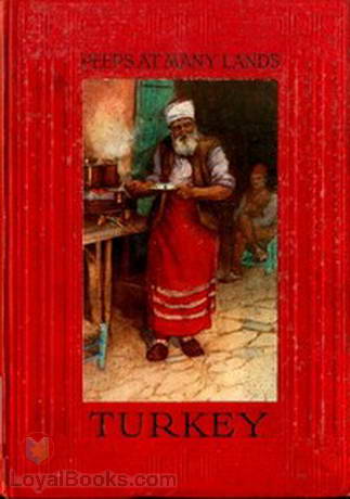 Turkey Peeps at Many Lands by Julius R. Van Millingen