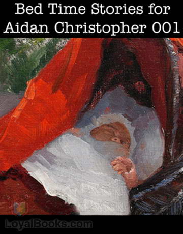 Bed Time Stories for Aidan Christopher by Unknown