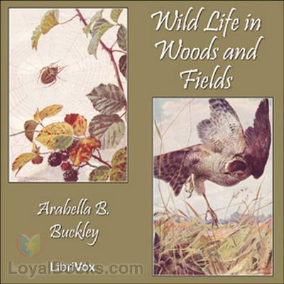 Wild Life in Woods and Fields by Arabella B. Buckley
