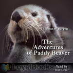 The Adventures of Paddy Beaver by Thornton W. Burgess