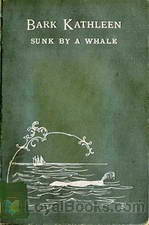Bark Kathleen Sunk By A Whale by Thomas H. Jenkins