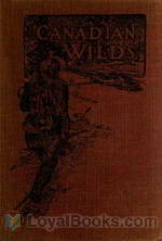 Canadian Wilds Tells About the Hudson's Bay Company, Northern Indians and Their Modes of Hunting, Trapping, Etc. by Martin Hunter