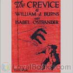 The Crevice by William J. Burns