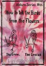 How to Tell the Birds from the Flowers by Robert Williams Wood