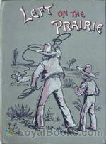 Left on the Prairie by M. B. Cox