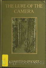 The Lure of the Camera by Charles S. Olcott