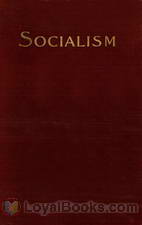 Socialism and the Social Movement in the 19th Century by Werner Sombart