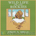 Wild Life on the Rockies by Enos A. Mills