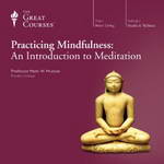 Practicing Mindfulness: An Introduction to Meditation by The Great Courses
