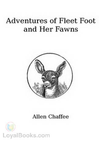 The Adventures of Fleetfoot and Her Fawns by Allen Chaffee