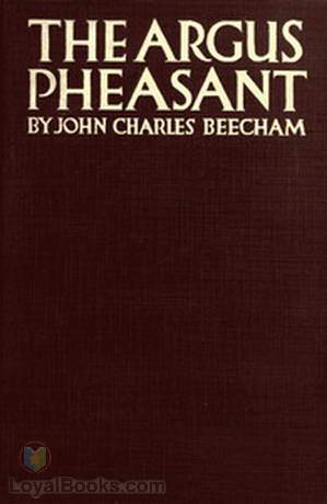 The Argus Pheasant by John Charles Beecham