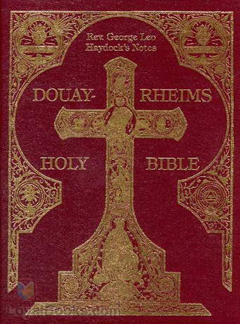Additions to Esther by Douay-Rheims Version