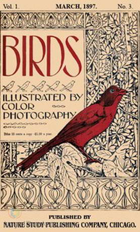 Birds, Illustrated by Color Photography, Vol. 1, No. 3 March 1897 by Various
