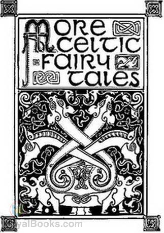 More Celtic Fairy Tales by Various
