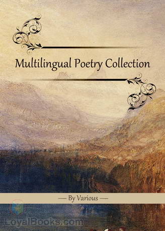 Multilingual Poetry Collection 16 by Various