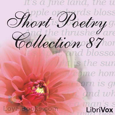 Short Poetry Collection 87 by Various
