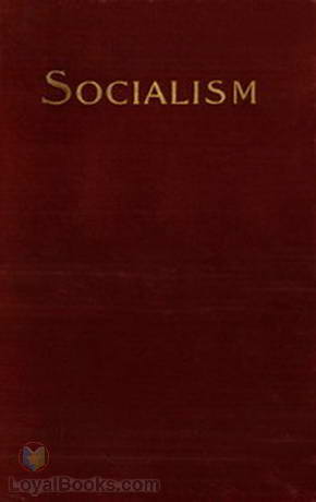 Socialism and the Social Movement in the 19th Century by Werner Sombart