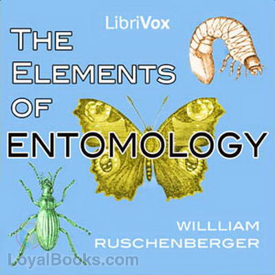 The Elements of Entomology by William Ruschenberger