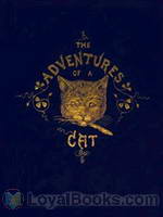 The Adventures of a Cat And a Fine Cat too! by Alfred Elwes
