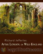 After London, or Wild England by Richard Jefferies