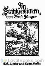 In Stahlgewittern Aus dem Tagebuch eines Stoßtruppführers by Ernst Jünger